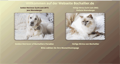 Desktop Screenshot of bochallier.de